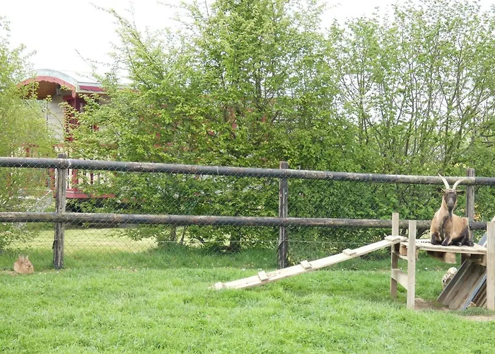 La Roulotte Des Matis