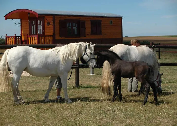 La Roulotte Des Matis Guest house 3*